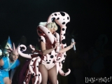 Lady Gaga_w_04