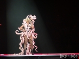 Lady Gaga_w_05